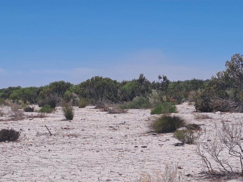 0 Bedroom Property for Sale in Hopefield Western Cape